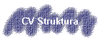 CV Struktura