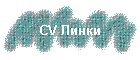 CV 