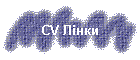 CV ˳